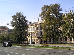Lípy velkolisté